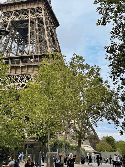 What the Places We Call Home Have Taught Us | RES IPSA