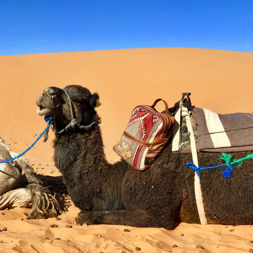 How to Better Document your Travel Adventures: 5 Healthy Habits to Practice with Instagram | Res Ipsa - RES IPSA