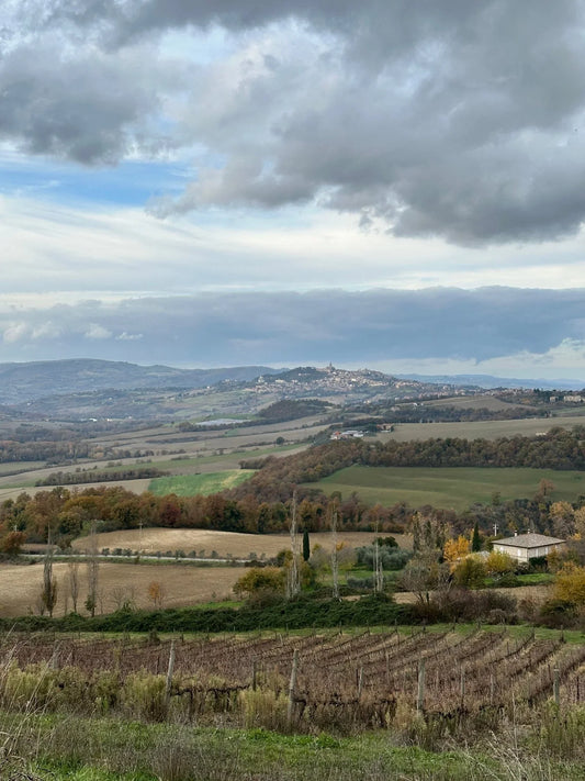 Postcard from Todi: Harvest Time in Umbria