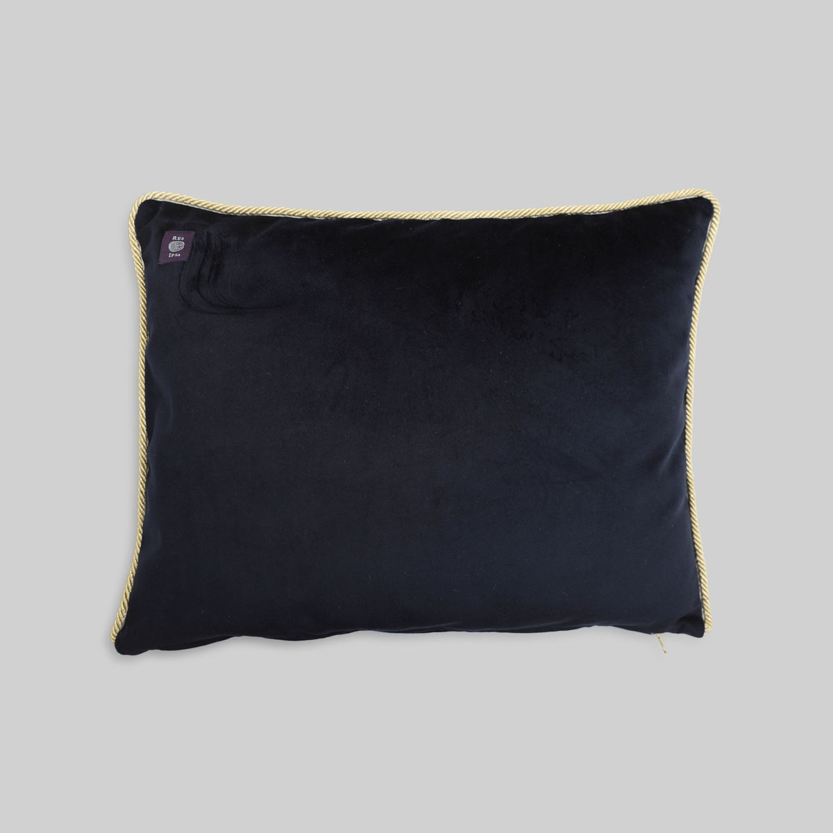 Housse de coussin en velours — POS